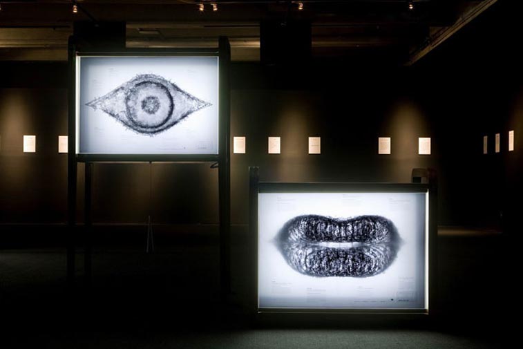 New media art exhibition and interactive installation