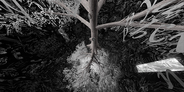 VR Installation